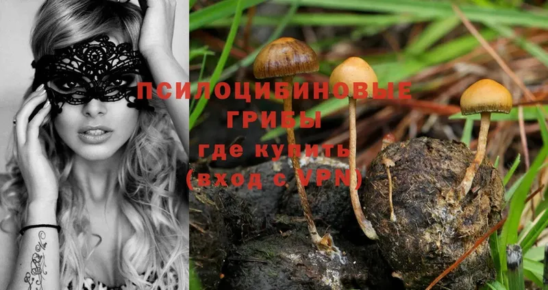 даркнет сайт  Белово  Псилоцибиновые грибы Psilocybe 